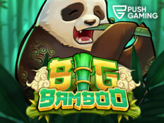 Go wild casino no deposit bonus codes15